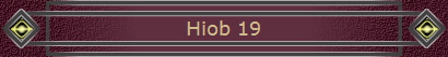 Hiob 19