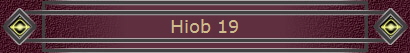 Hiob 19